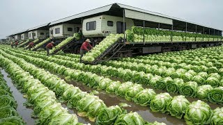 The 2025 Harvest Craze - The Modern Agriculture Machines Turning Farmers Into Millionaires