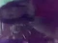 رقص مصري فاجر بشورط نار سكس 2014