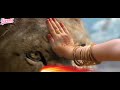 Mata sherawali whatsapp status | Navratri WhatsApp Status | Mata Rani Status | Maa Durga Status|