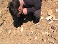 La cava dei veleni