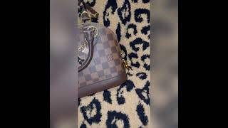 Can All Of This Fit In My Louis Vuitton Alma Bb