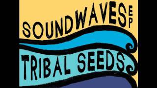 Watch Tribal Seeds Right On Time video