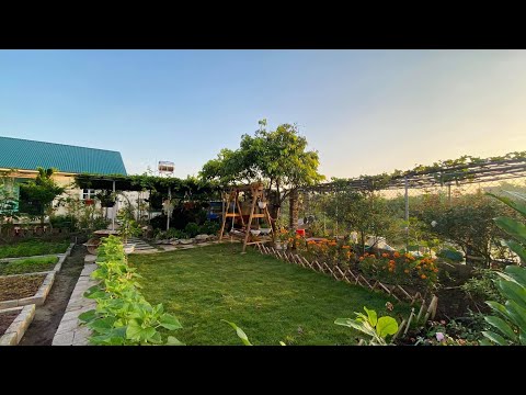 Tham quan nhà vườn đẹp xanh mướt của cặp vợ chồng trẻ ở Hưng Yên