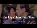 Paa Liya  Hain Pyar Tera - Slowed & Reverb - Alka Yagnik / Udit Narayan