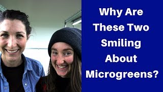 Urban Farming With Microgreens