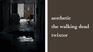 The Walking Dead Aesthetic Twixtor Scenes