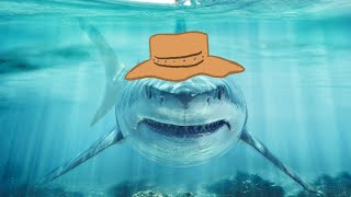Animal Facts: Great White Shark