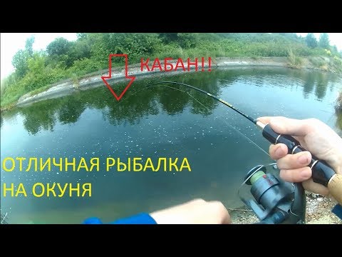 спиннинги для ловли окуня тесты спиннинги для ловли окуня тесты