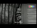 Nak Dara Rindu P Ramlee images Nak Dara Rindu P Ramlee