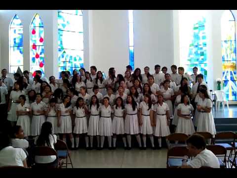 COLEGIO PUREZA MARIA BOGOTA colegio pureza maria bogota: