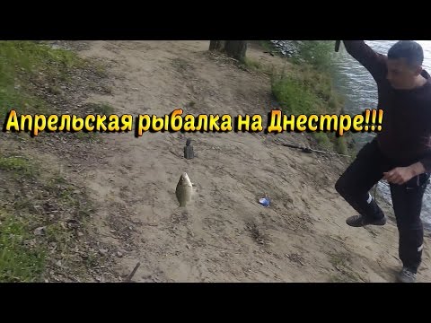март рыбалка на днестре март рыбалка на днестре