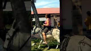 A Woman Enjoying A Donkey Riding