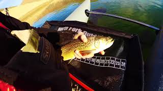 Dave Scaddens 2023 Raging Torrent Power Tube Sneak Peak