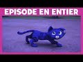 Pyjamasques - Moment magique : Yoyo transformé en vrai chat