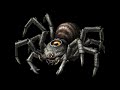 Zelda Twilight Princess 12 Jefes Dificil A Facil images Zelda Twilight Princess 12 Jefes Dificil A Facil