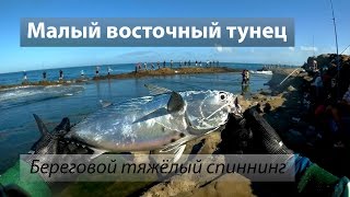 Восточно-Китайское море. Малый восточный тунец. Береговая рыбалка с тяжёлой снастью. Сёрфтроллинг.