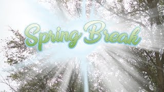 Spring Camp Week Two Video Highlights