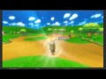 [MKWii] Moo Moo Meadows CR & 4th WorldWide 1:16.678 By Doom