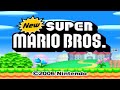 New Super Mario Bros. DS - Geheimer Einbahnstraßenmodus in New Super Mario Bros. DS