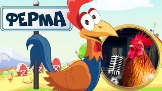 Ферма! Реальные Звуки Животных! Домашние Животные На Ферме Для Малышей! Учим Животных На Русском