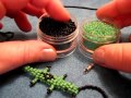 Gecko/Lizzard Barefoot Sandals