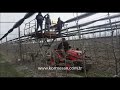Meyve Toplama Hasat Römorku - Harvest Trailer