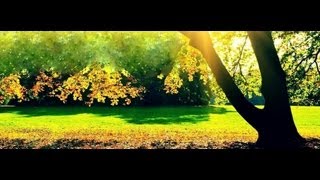 Watch Banda Limon Contigo video