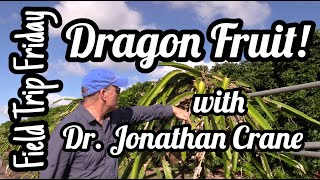 Field Trip Friday- Dragon Fruit (Pitaya) with Dr. Jonathan Crane