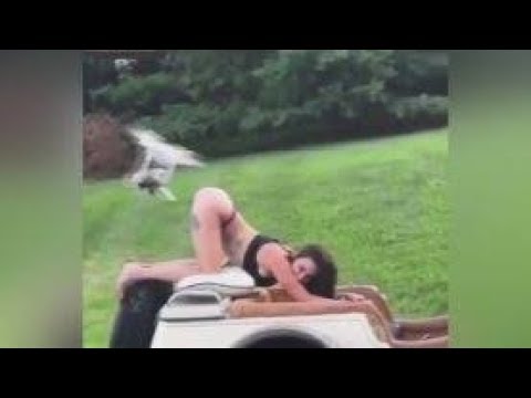 Funny Fail Compilation Porn Videos Sex Movies 2