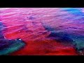 PROPHECY ALERT: "Florida Coast Threatened Blood Red Water"