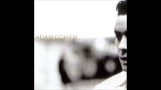 Watch Adam Cohen This Pain video