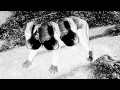 view Three Headed Puppy