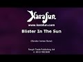 Karaoke Blister In The Sun - The Violent Femmes *