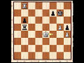 Reti System: Magnus Carlsen vs Fabiano Caruana Tal memorial Blitz 2013