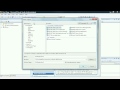 Software Plus Services