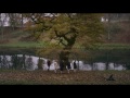 The Falling Trailer In Cinemas 24 April 2015 The Falling Trailer In Cinemas 24 April 2015