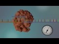 DNA Sequencing - 3D
