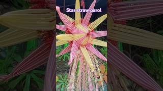 Star Straw Parol
