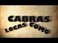 Micropoema Zorras