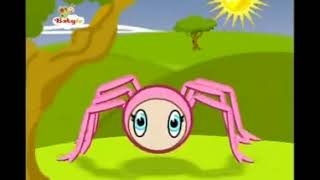 Baby Tv Itsy Bitsy Spider