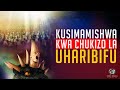 19. KUSIMAMISHWA KWA CHUKIZO LA UHARIBIFU