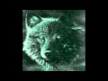 Wolf Song Wolf Cry Wolf Howl  A Tribute to these amazing creatures. One of the best songs.