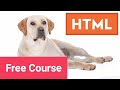 Learn HTML Basics