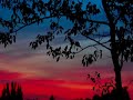 Songs: Ohia - Blue Factory Flame
