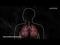 What Coronavirus Symptoms Look Like, Day By Day