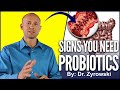 Probiotic Benefits | Top Signs You Should Be Taking A Probiotics