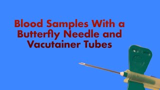 Collecting Blood Samples With A Erfly Needle And Vacutainer Tubes