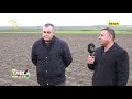 Turfanda Patates Yetiştiriciliği - TARLA BİTKİLERİ  / Çiftçi TV