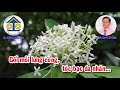 Karaoke: KHÓC MẸ - Dây Đào - Tác giả: Nguyễn Hữu Nghĩa