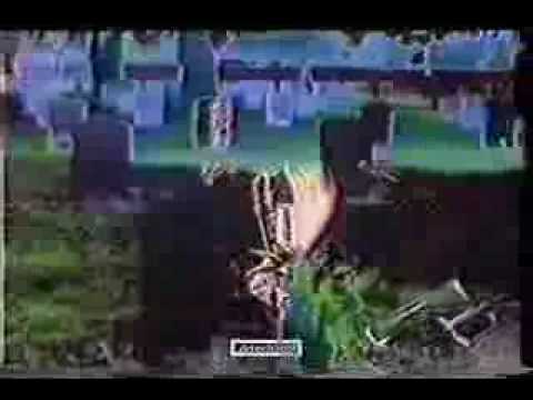 youtube player